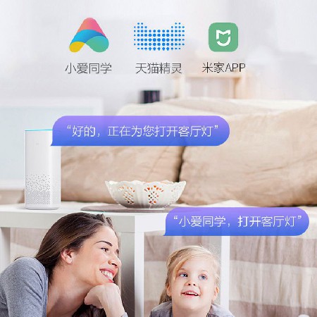變頻客廳靜音大風(fēng)力電扇燈現(xiàn)代簡約五葉吊扇燈LED智能語音風(fēng)扇燈